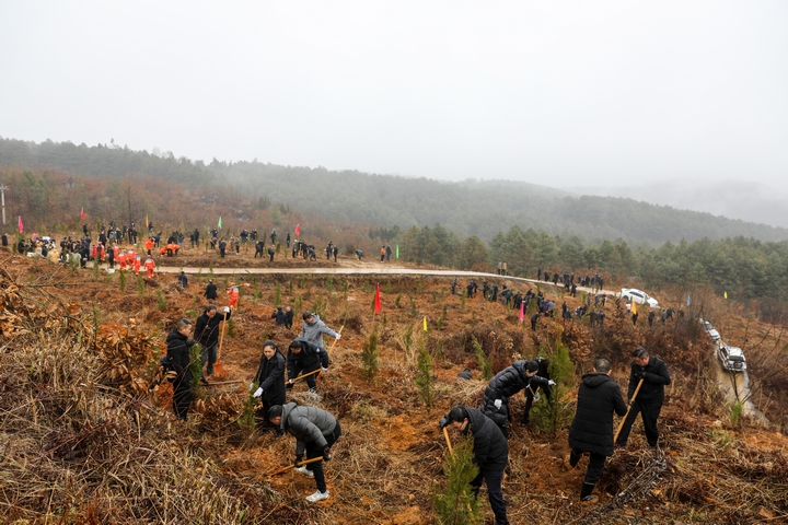 赫章縣3200余名干部職工開展義務植樹活動現場。胡彥攝