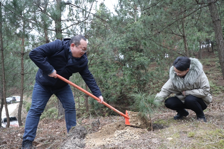 義務植樹活動現場。