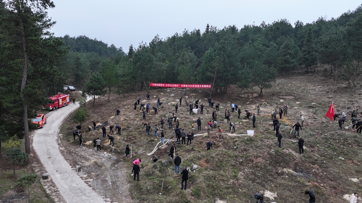 義務植樹活動現場。