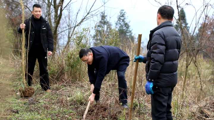 3、楚米镇干部职工挥锹铲土。 陈桂良摄.jpg