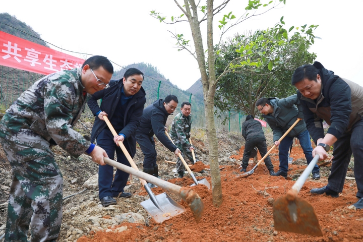 劍河縣義務植樹活動現場。潘文攝 (6).jpg