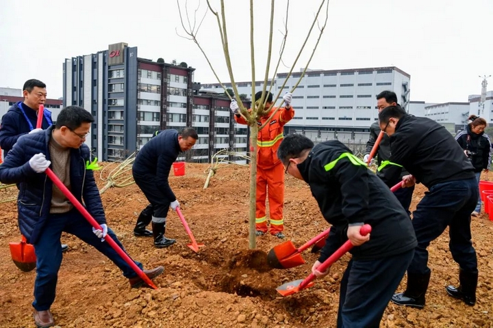 2025年義務植樹活動現場。