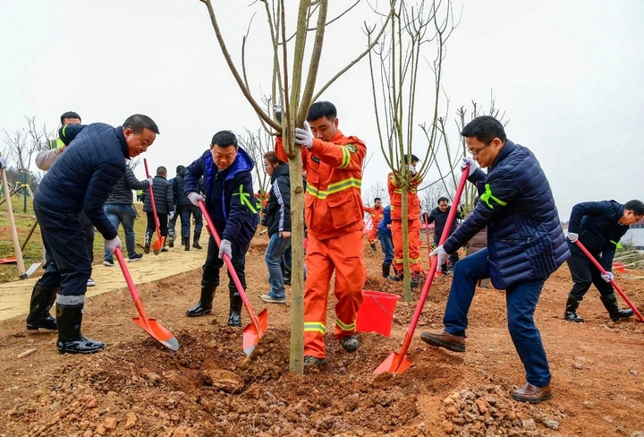 2025年義務植樹活動現場。