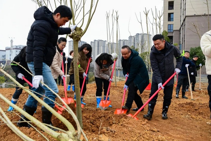 2025年义务植树活动现场。