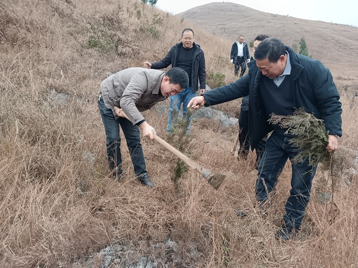 坪上镇干部群众义务植树现场。