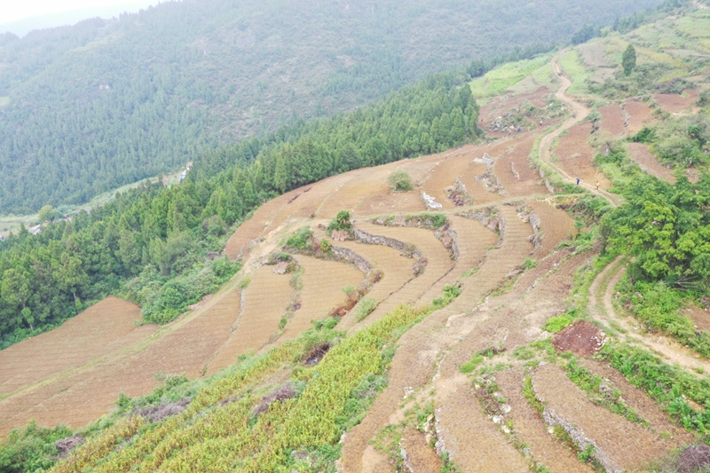 新光村撂荒地圖斑整治項目（習水縣融媒體中心供圖）.jpg