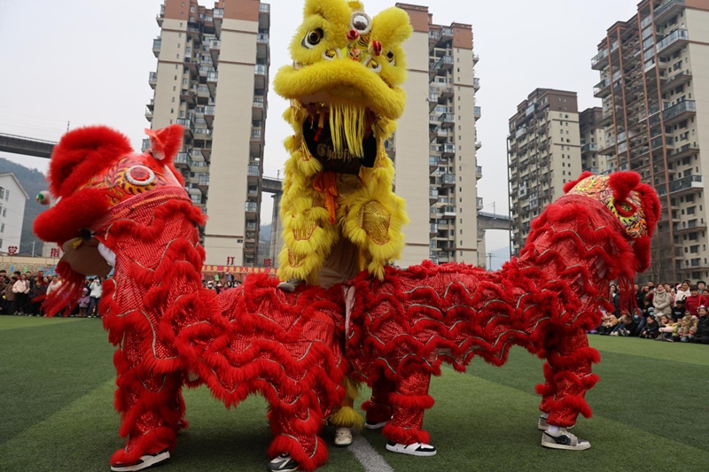 活动现场。