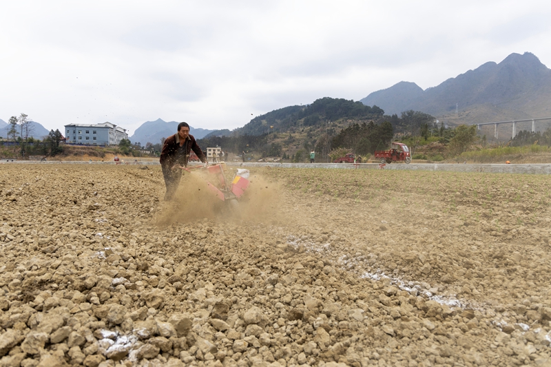 村民們正在翻犁。