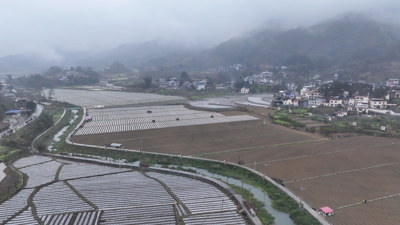 逢亭鎮祥腳村蔬菜種植基地.jpg