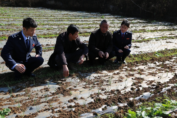 2 图为兴义市税务局税务人员到马岭街道平寨村了解大蒜种植情况，积极响应涉税诉求，讲政策、送服务。 李欢欢 摄