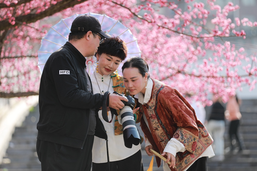 3月1日，貴州省黔西市西門外城郊的梅花迎春綻放，吸引游人紛紛前來觀花賞景、拍照打卡，樂享暖春時光。 