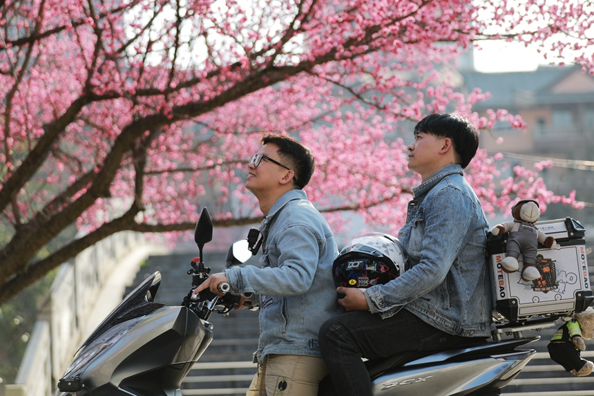 3月1日，貴州省黔西市西門外城郊的梅花迎春綻放，吸引游人紛紛前來觀花賞景、拍照打卡，樂享暖春時光。