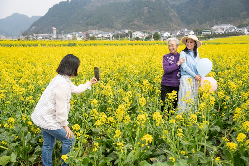 2 图为游客前来踏青赏花打卡.jpg