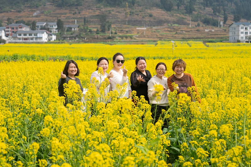 3 图为游客前来踏青赏花打卡.jpg