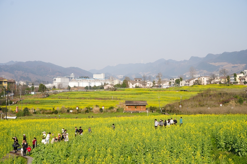 春意盎然的神採八卦園。