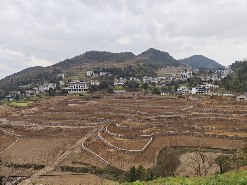 茅台镇青草坝村高标准农田建设现场。