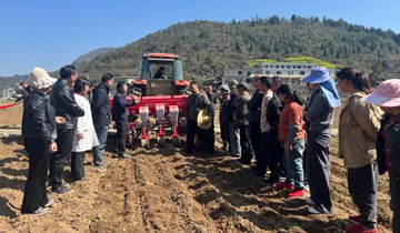 农技培训进田间 产业发展添活力近年来，桐梓扎实推进农业技术培训工作，充分发挥资源优势、技术优势、理念优势，为农业发展注入活力。