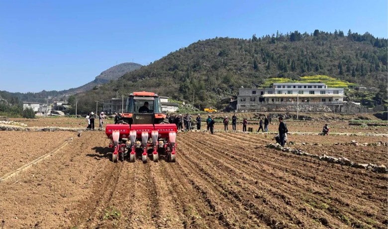 农技培训进田间 产业发展添活力
