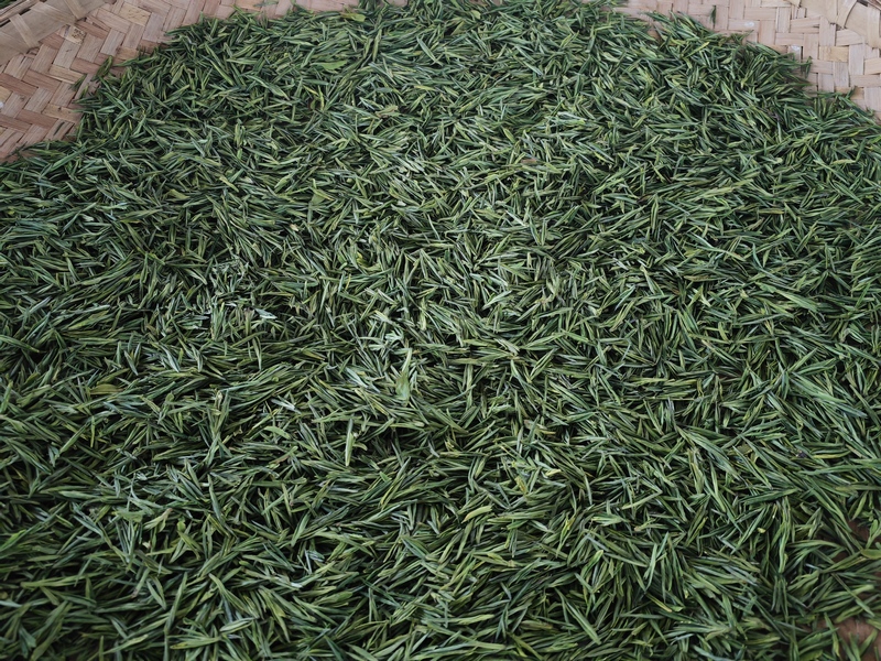 加工好的茶葉。