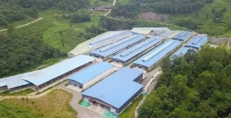 養殖基地。