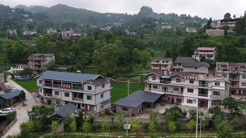 樂境村。