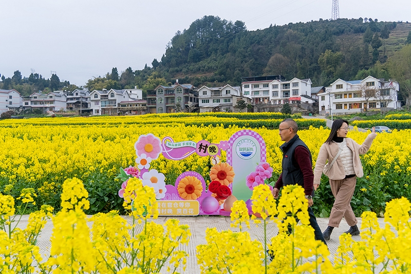 游客走進桐官倉美麗鄉村。人民網  涂敏攝