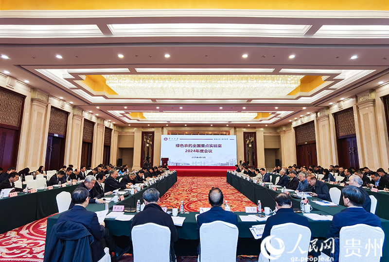 会议现场。人民网记者 王秀芳摄