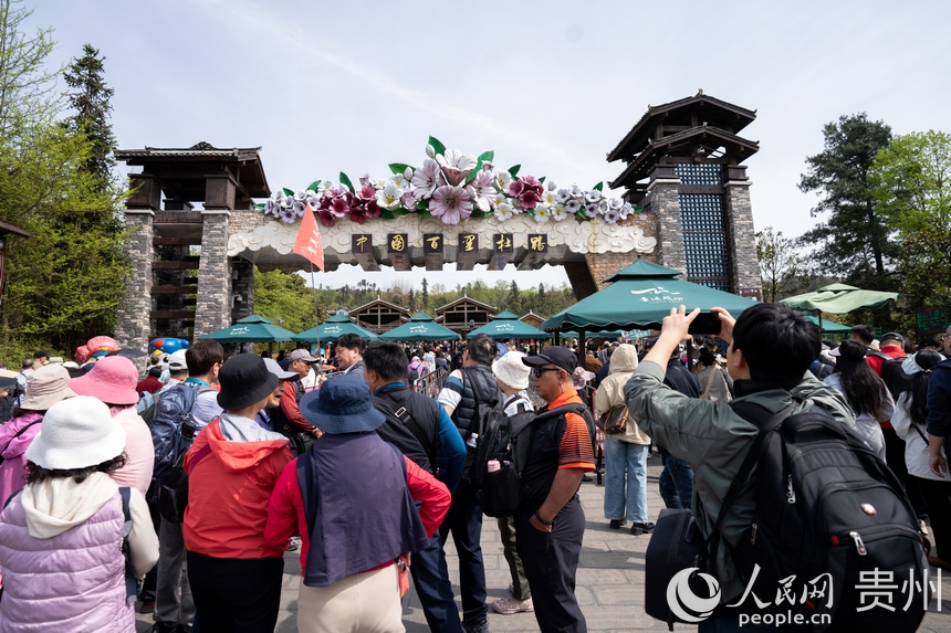 游客正排隊進入景區觀賞盛開的杜鵑花。人民網記者 涂敏攝