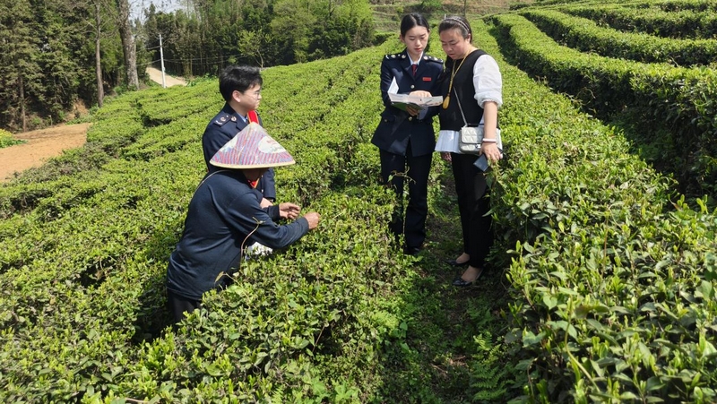 “税宣服务队”队员向茶企人员讲解政策。张钦愿摄