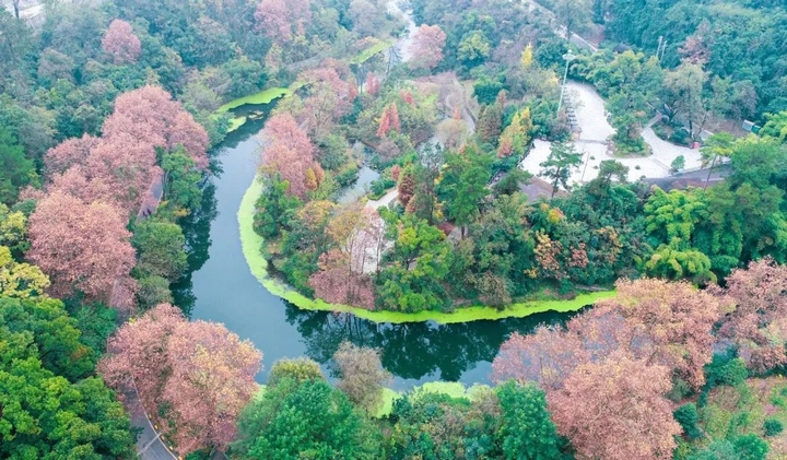 小车河湿地公园。