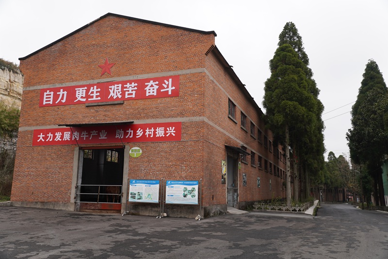 牛舍。