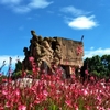 4月15日，“爽爽贵阳 红色息烽 与渝相约”避暑旅居推介活动在重庆举办……