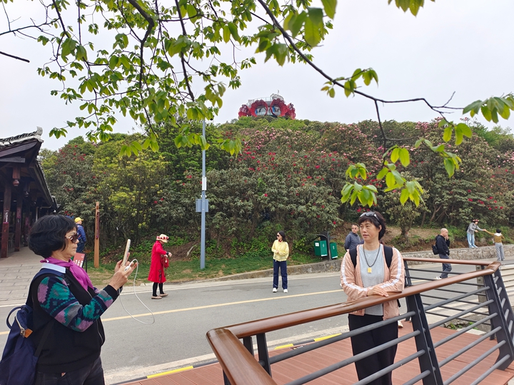 普底景区数花峰。