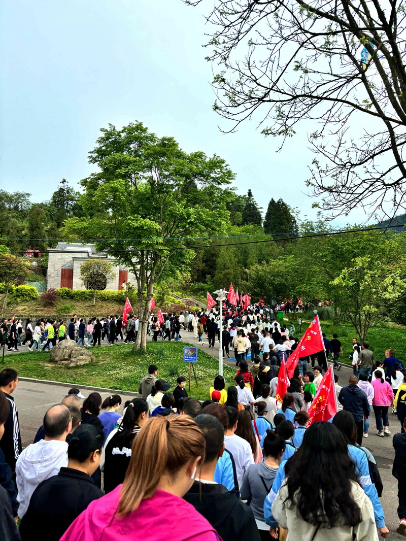 一支支健走隊伍手擎鮮紅隊旗，在蔥蘢綠意中迎風招展。習水縣融媒體中心供圖