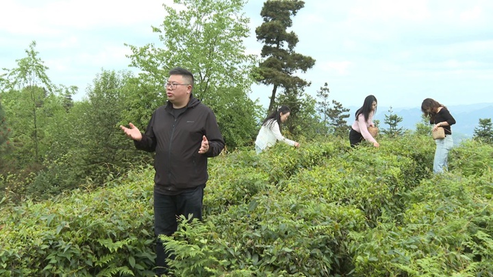 活动现场。