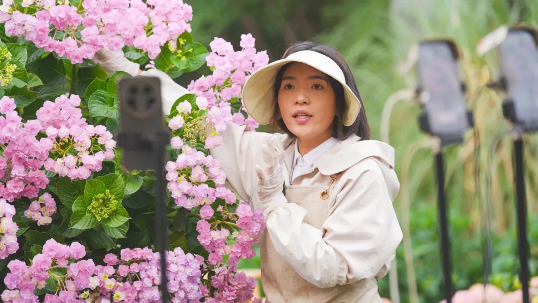绣球花开产业兴 多元发展促振兴。