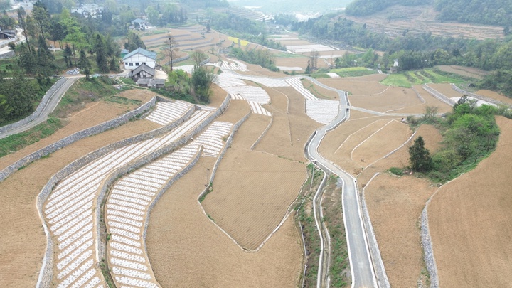长岗镇荣获第一批全国种植业“三品一标”基地。