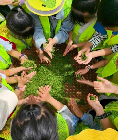 茶旅研学.png