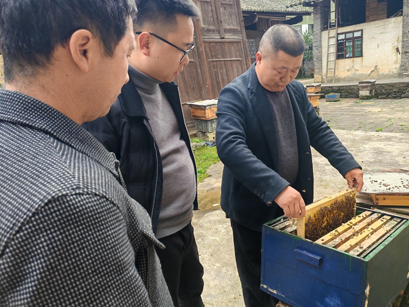 依托生态优势  发展蜂蜜产业。