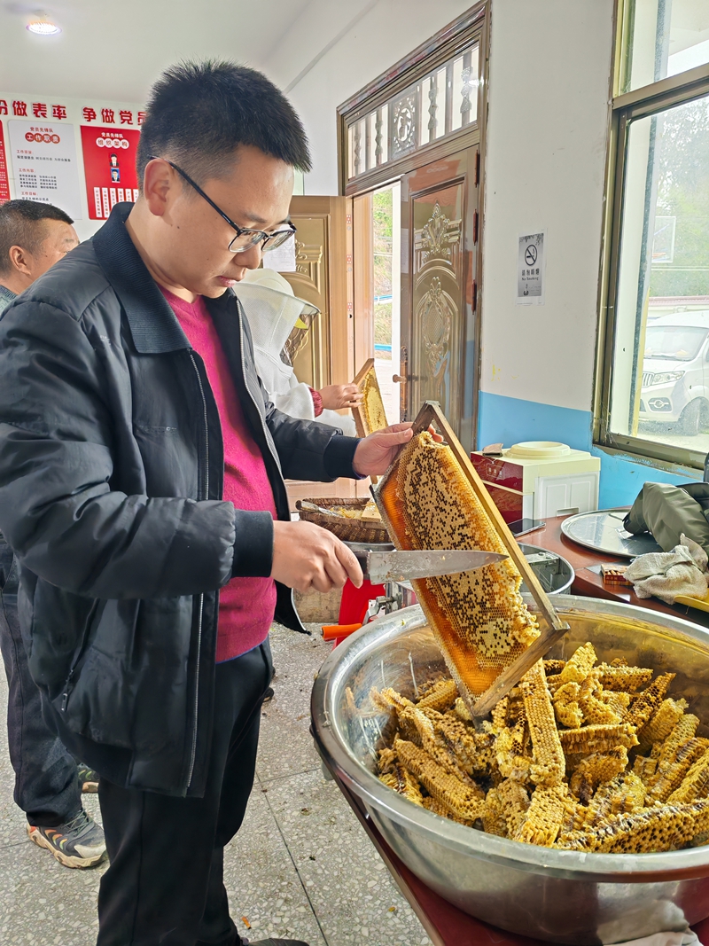 依托生态优势  发展蜂蜜产业。