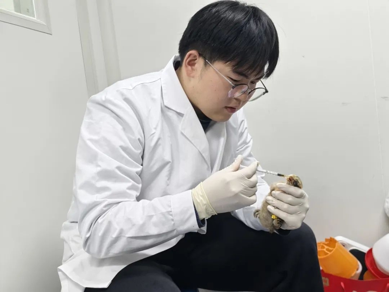 蘇芝乾正在實驗室做科研。