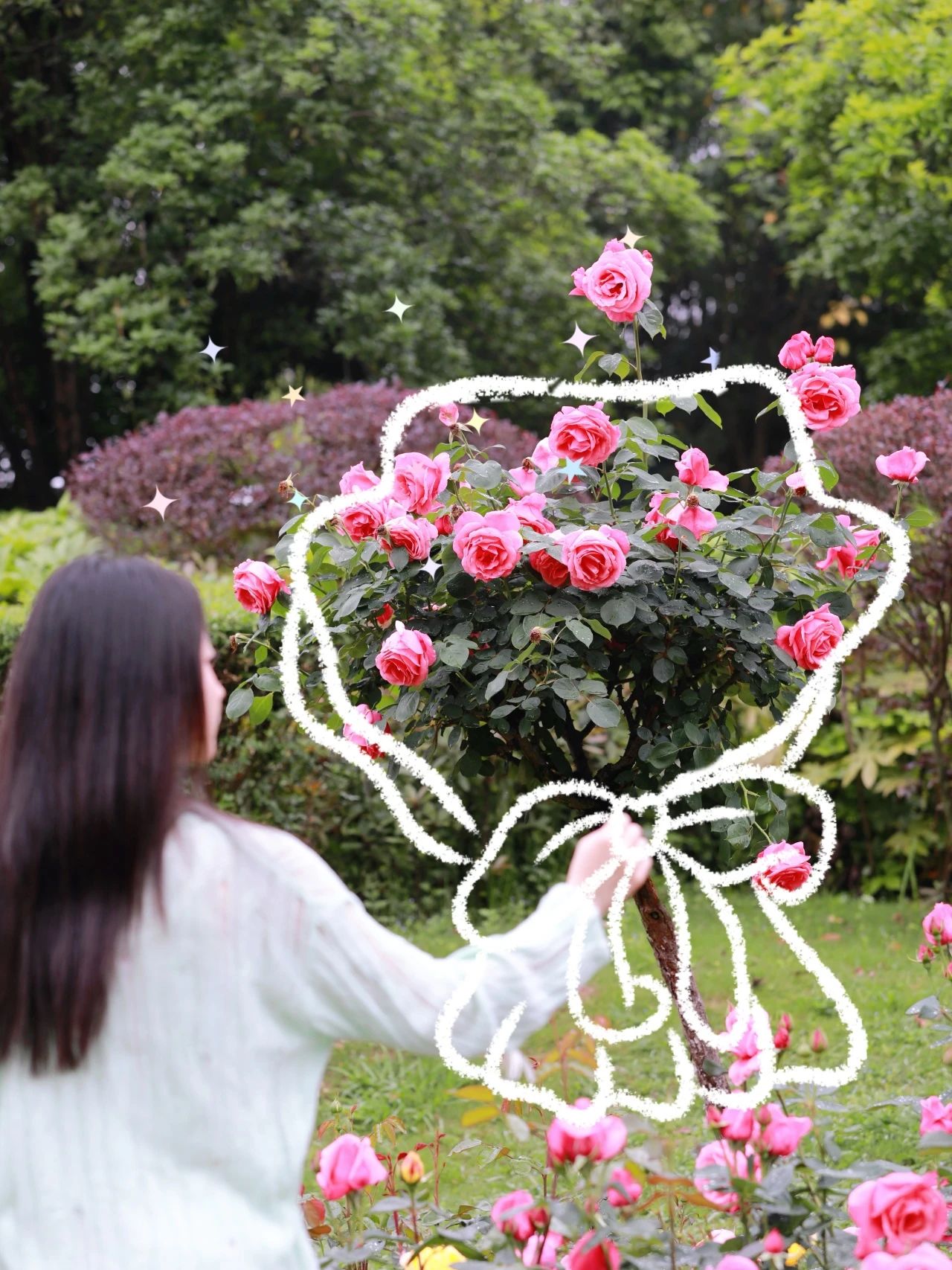 3月季花争奇斗艳。