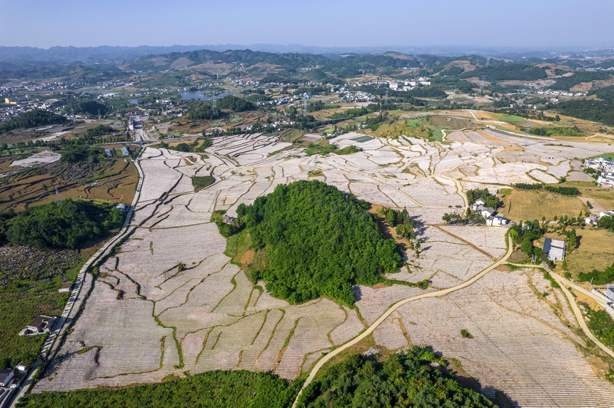 2025年5月11日拍攝的貴州省畢節市黔西市林泉鎮鄉村田園美景。