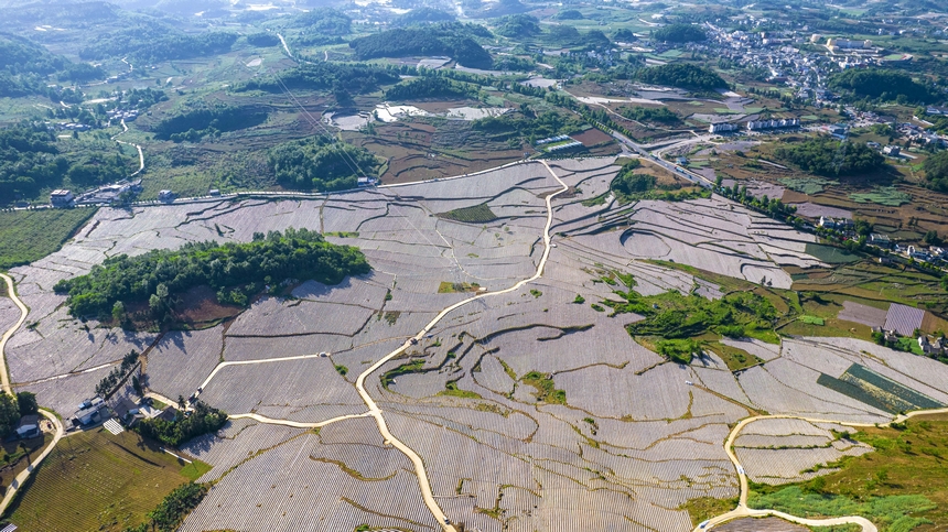 2025年5月11日拍摄的贵州省毕节市黔西市林泉镇乡村田园美景。