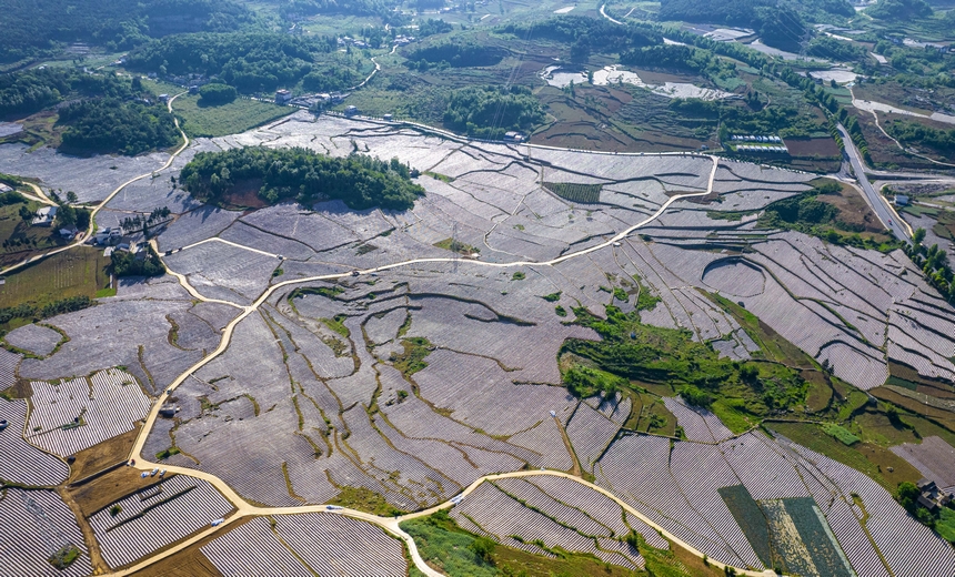 2025年5月11日拍攝的貴州省畢節市黔西市林泉鎮鄉村田園美景。