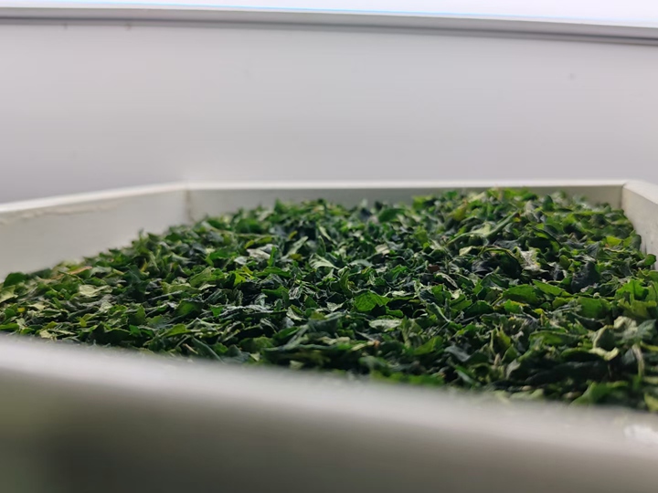 碾茶创新中心的碾茶。