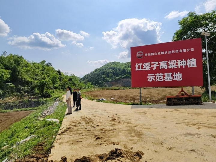 红缨子高粱种植地图.jpg