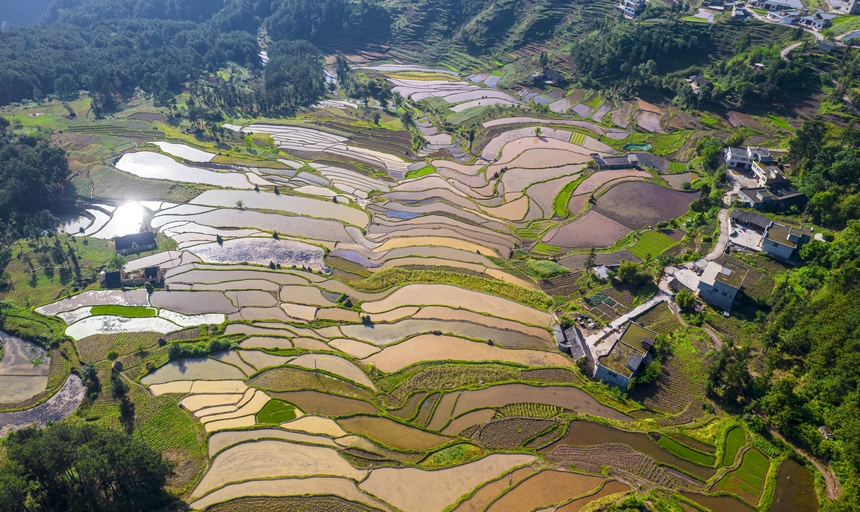 2025年5月12日，貴州省畢節市黔西市中坪鎮青山環抱的梯田正在進行蓄水翻耕。
