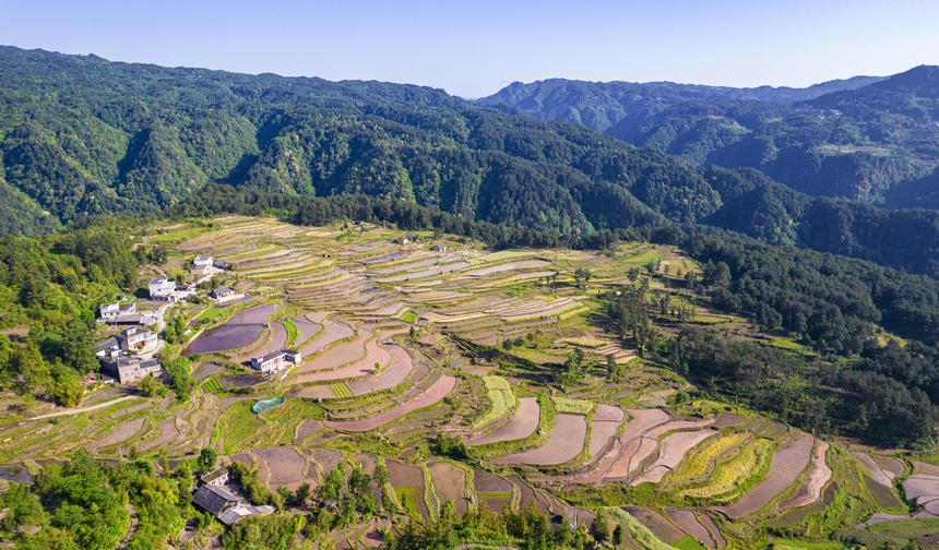 2025年5月12日，貴州省畢節市黔西市中坪鎮青山環抱的梯田正在進行蓄水翻耕。