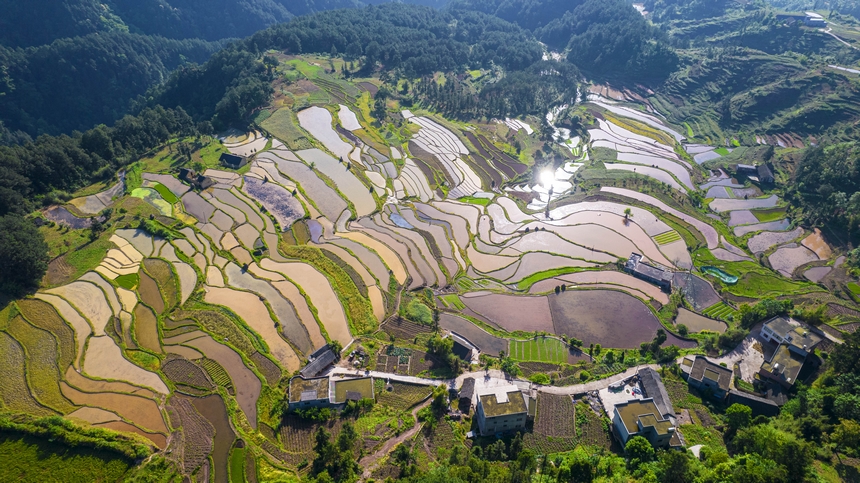 2025年5月12日，貴州省畢節市黔西市中坪鎮青山環抱的梯田正在進行蓄水翻耕。